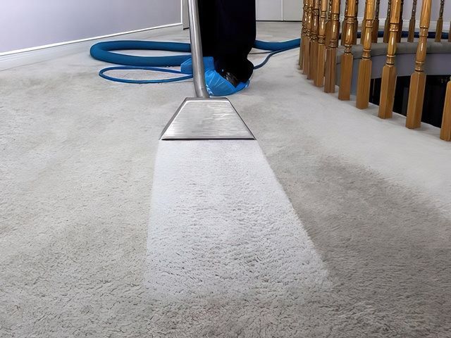 Carpet Cleaners in Windsor