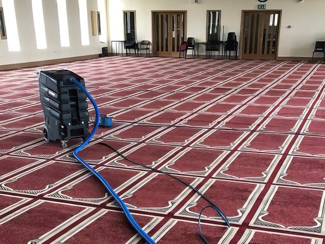Commercial Carpet Cleaners in Windsor