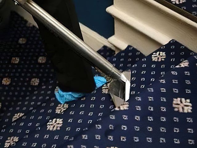 images/carpet-cleaning/slider/carpet-cleaning-2-kireth-ai-kireth-ai.jpeg